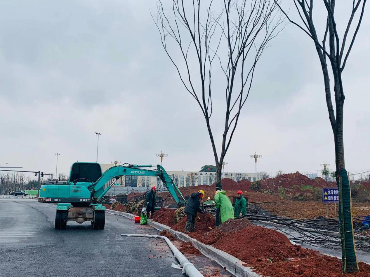 图片3.png 图片3.png