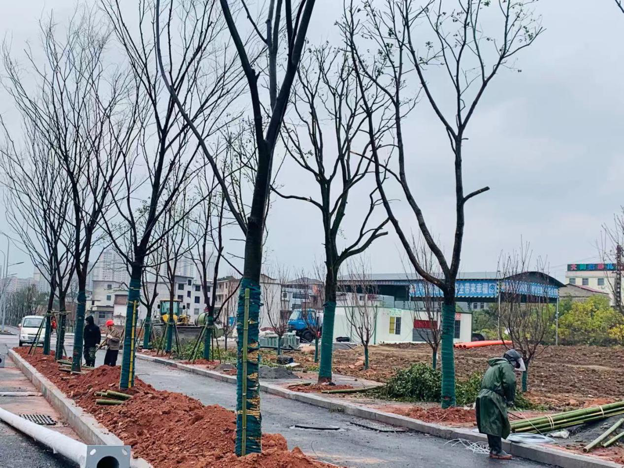 图片9.png 图片9.png